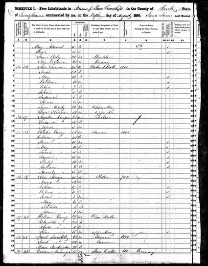 1850 United States Federal Census - August Emmanue.jpg