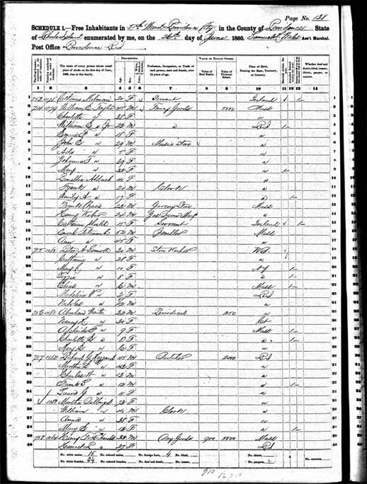 1860 United States Federal Census - Peter Aloysius Sinnott Sr.jpg