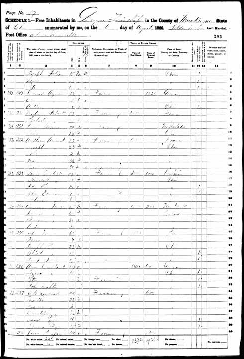1860 United States Federal Census - Peter Soller.jpg