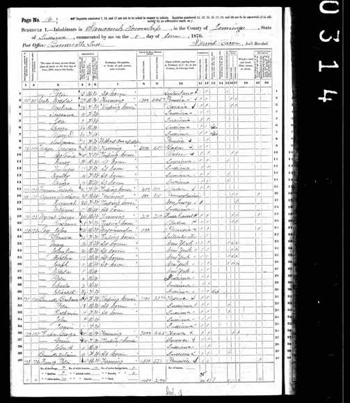 1870 United States Federal Census - Barbara Unknown.jpg