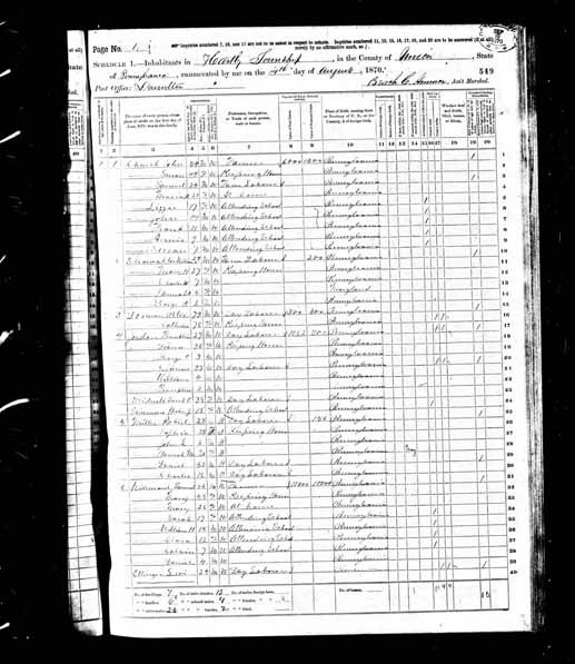 1870 United States Federal Census - Calvin R Weidensaul.jpg