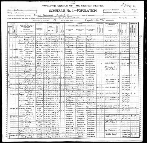 1900 United States Federal Census - Albin Muessig.jpg