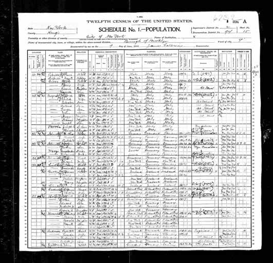 1900 United States Federal Census - Ambrose M Schneider.jpg