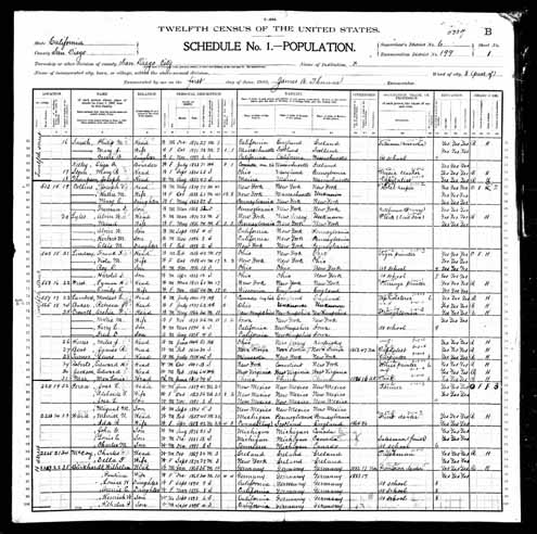 1900 United States Federal Census - Anna Emma Burkhardt.jpg