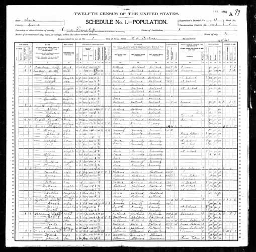 1900 United States Federal Census - Cecelia J Tille.jpg