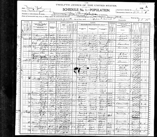 1900 United States Federal Census - Charles Magee.jpg