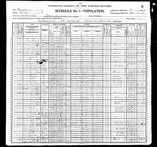 1900 United States Federal Census - Cleveland Harv.jpg