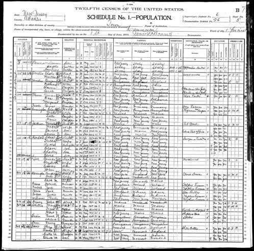 1900 United States Federal Census - Comley Link Sr.jpg
