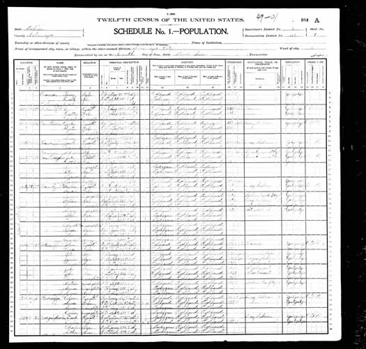 1900 United States Federal Census - Cornelius J Peters.jpg