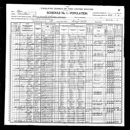 1900 United States Federal Census - Dora Barbara Frey.jpg