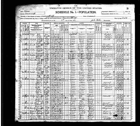 1900 United States Federal Census - Elizabeth Unknown.jpg