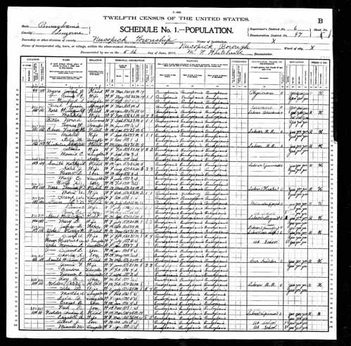 1900 United States Federal Census - Emanuel Deinin.jpg