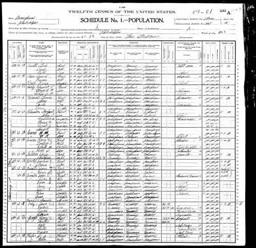 1900 United States Federal Census - Luise Karoline.jpg