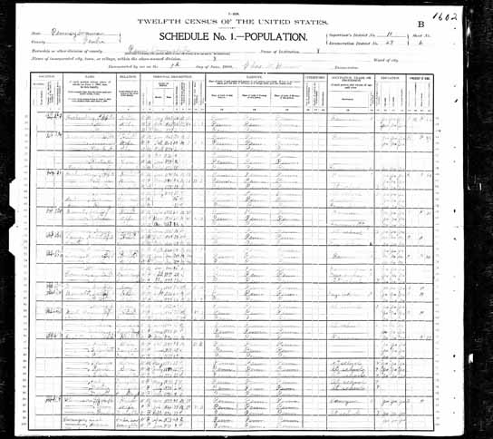 1900 United States Federal Census - Robert Hackenburg.jpg