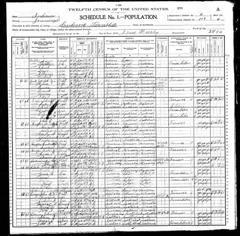 1900 United States Federal Census - Unknown Gasper.jpg