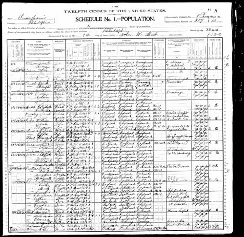 1900 United States Federal Census - William Freder(1).jpg