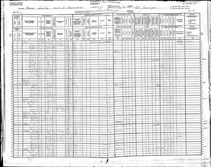 1901 Census of Canada - John Gillis.jpg